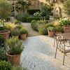 Alfresco Jannah 20mm Paver 61cm x 61cm