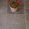Bibury Stone - Bourton Limestone Aged detail cameo, terracotta pot of red geraniums