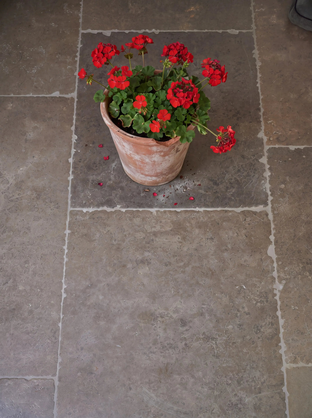 bibury stone bourton limestone aged 60cm x random bibury stone bourton limestone aged detail cameo terracotta pot of red geraniums