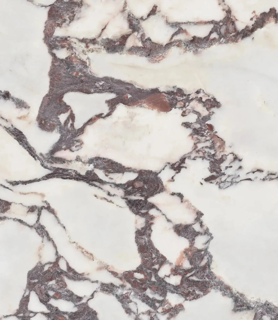 Curated Bordeaux Marble 60cm x 120cm