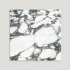 Bordeaux Marble Novo Matt 60cm x 60cm