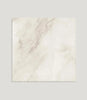 Brushed Marble Bianco 59.5cm x 59.5cm