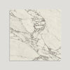 Curated Brushed Marble Grigio 59.5cm x 59.5cm