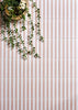 Candy Stripe Rose 20cm x 20cm