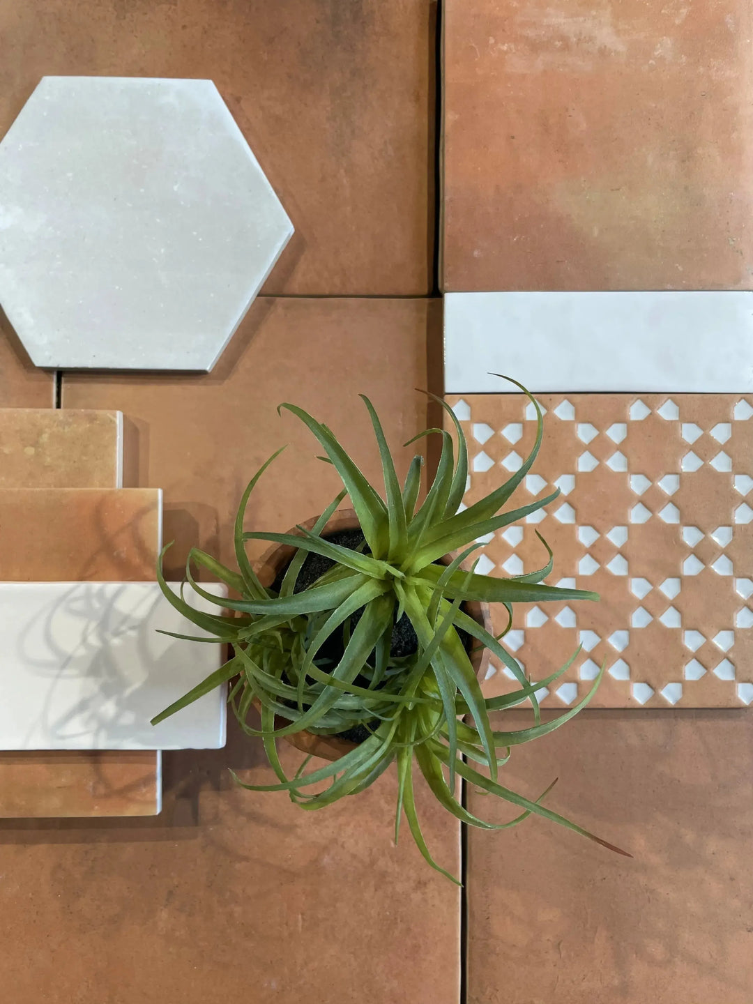 Casa Cotto Dark 18cm x 36cm