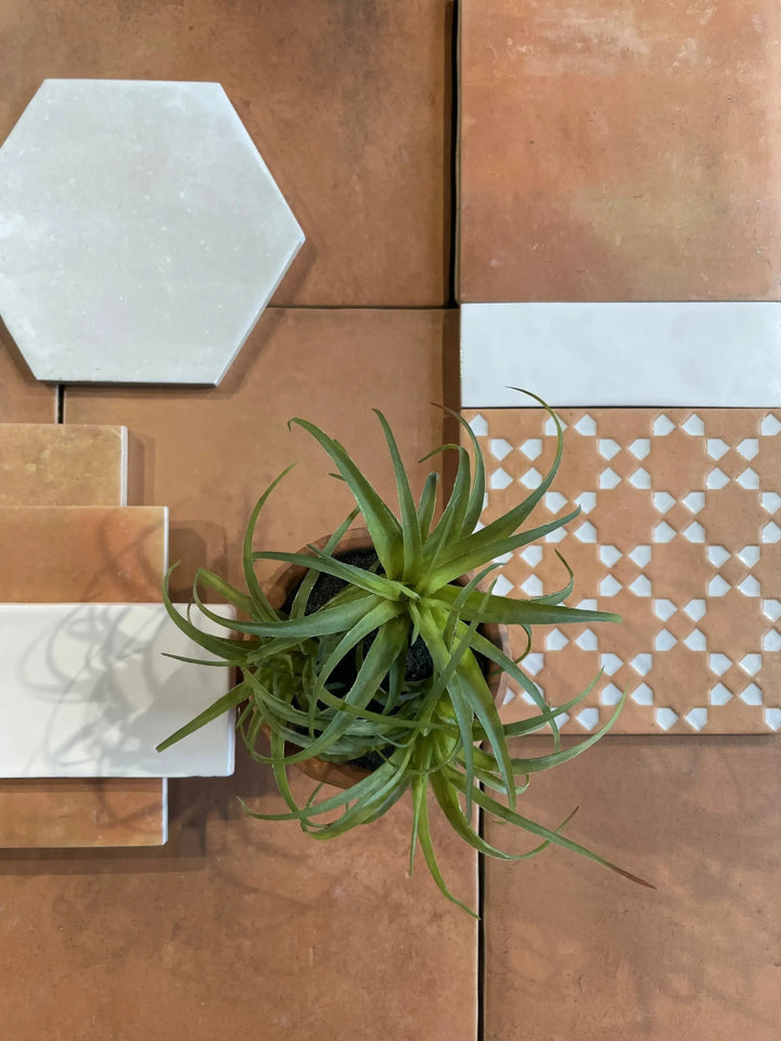 Casa Cotto Dark 18cm x 36cm