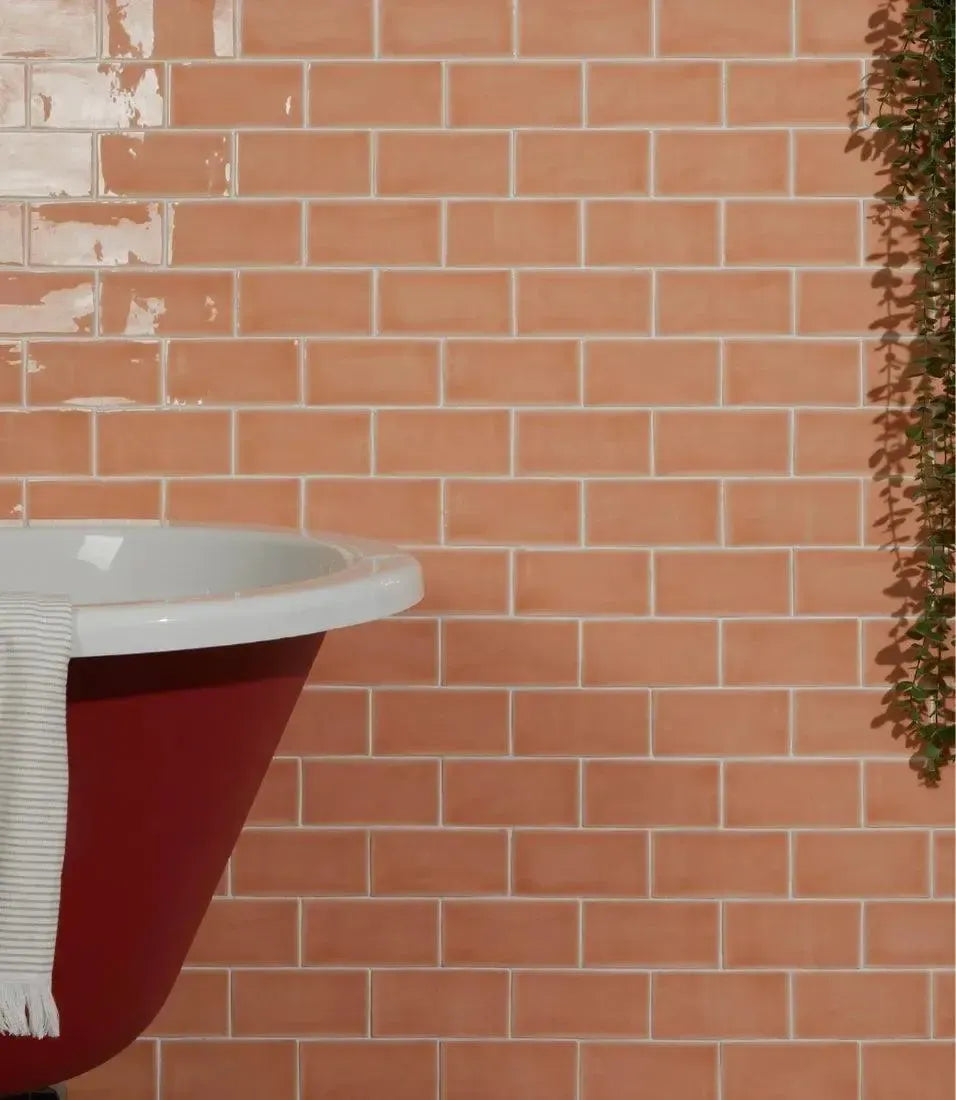 Curated Cottage Shrimp Gloss 7.5cm x 15cm