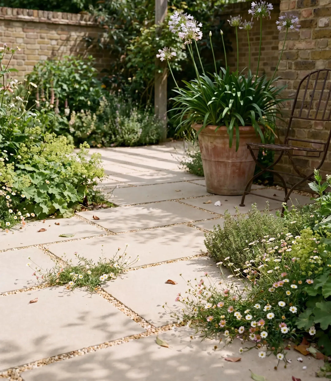 dijon natural 20mm paver 60cm x 90cm
