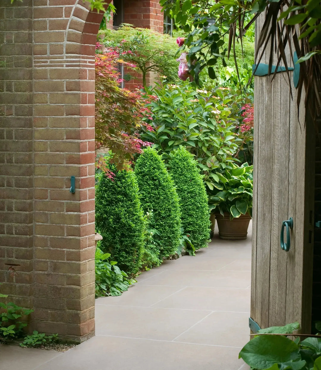 dijon washed 20mm paver 60cm x 90cm pathway leading through a garden with brick walls and greenery