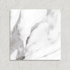 Curated Heritage Marble White 20cm x 20cm
