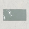 Curated Miami Sands Sea Kale 10 x 20cm