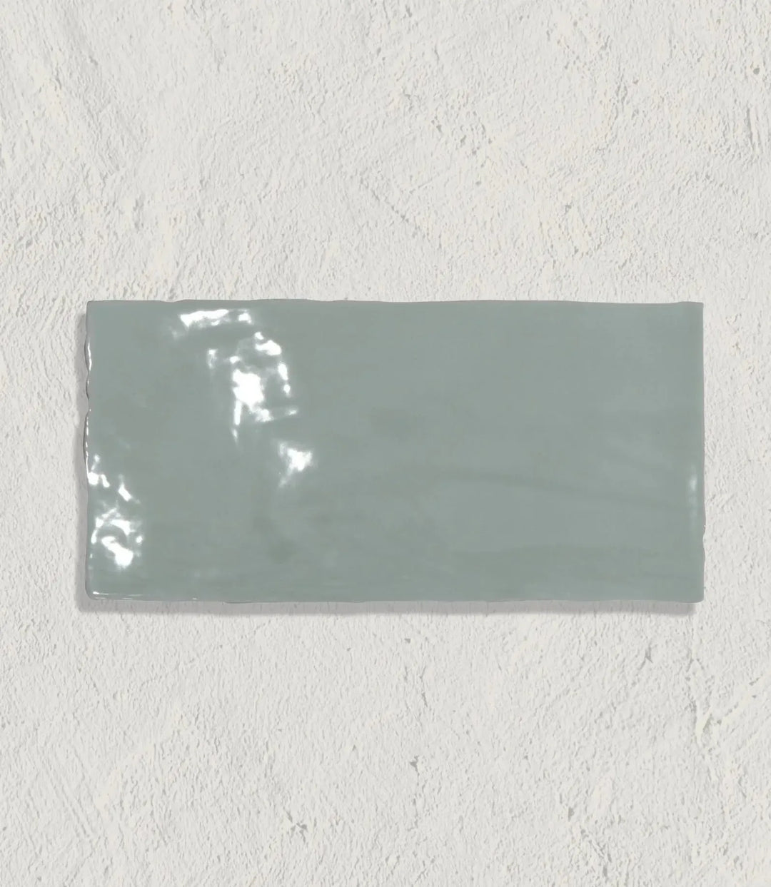 Curated Miami Sands Sea Kale 10 x 20cm