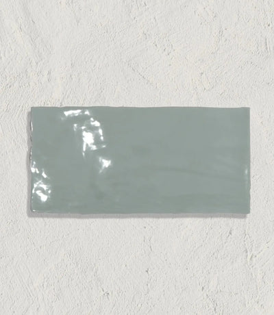 curated miami sands sea kale 10 x 20cm