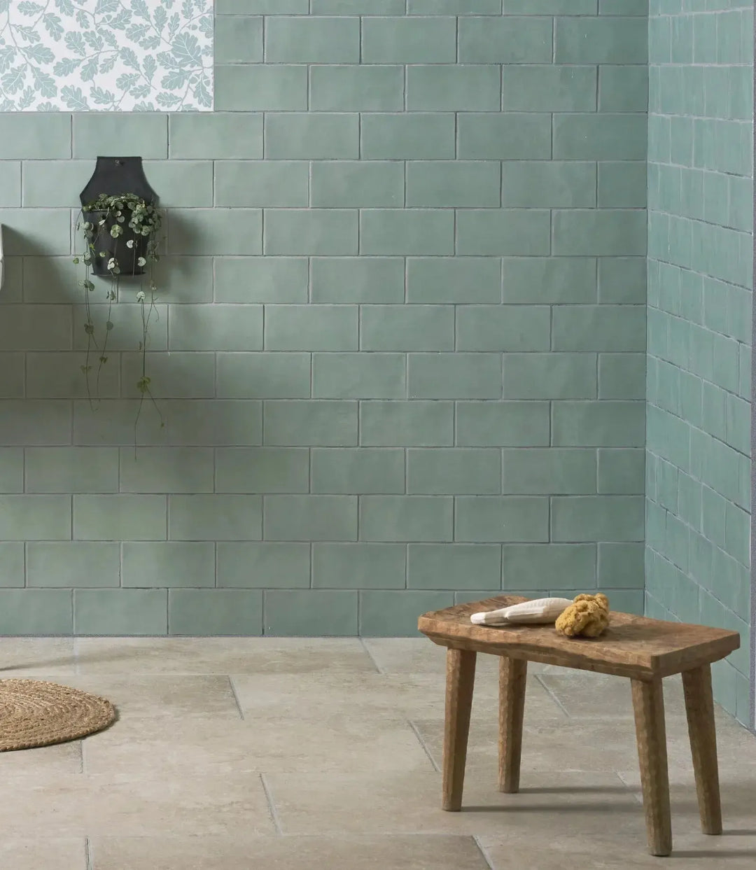 Curated Miami Sands Sea Kale 10 x 20cm