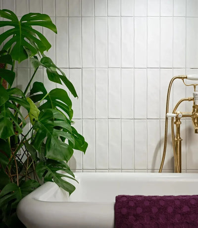 curated pastel matt white 7 5cm x 30cm