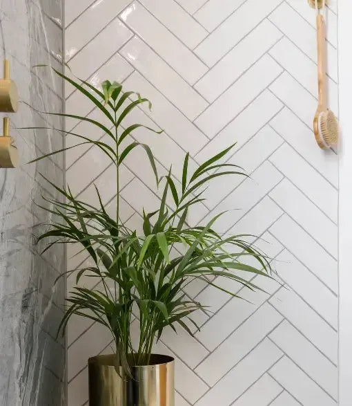 Town & Country Palette Gloss White 30cm x 7.5cm - Clearance