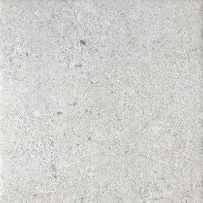 tropical white stone 20cm x 20cm out