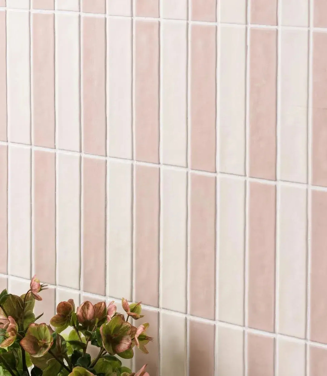 Curated Vanguard Parchment 5cm x 25cm