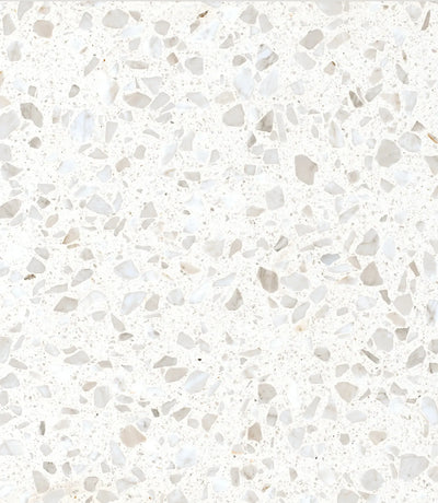 venetica terrazzo blanc 60cm x 60cm